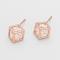 Rose Gold Bedazzle Cube Stud Earrings.JPG